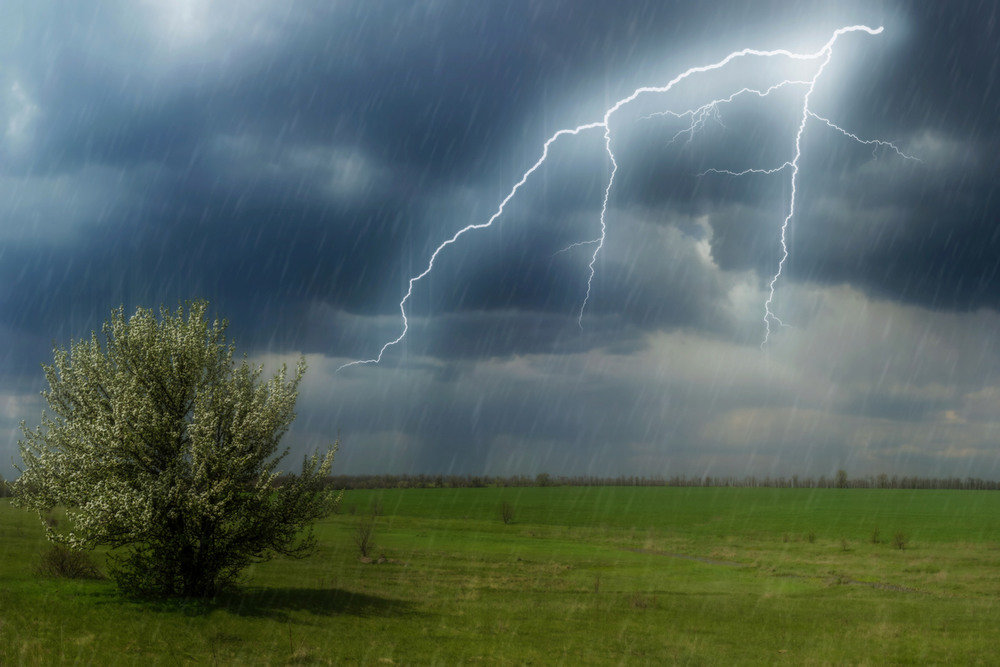 Кратковременные дожди с грозами ожидаются завтра в Курской области