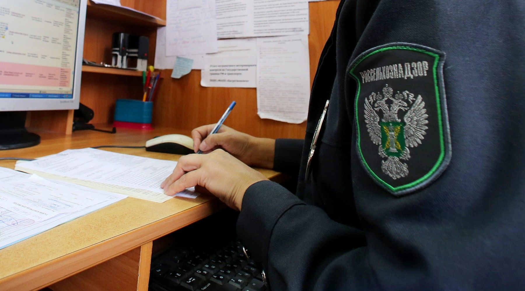 Каким животным нужно делать прививку от коронавируса? 2 Каким животным нужно делать прививку от коронавируса? 1 | ВЕТКУПОН - всё о животных: новости, ветуслуги, зоотовары в Москве